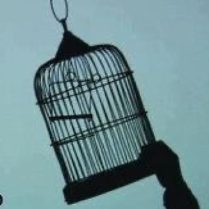 Meet your Posher, Irma